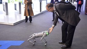 FOTO: Robot Anjing Curi Perhatian Pengunjung Mobile World Congress