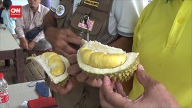 VIDEO: Tak Perlu Ke Malaysia, Makan Durian Musang King Bisa di Jombang