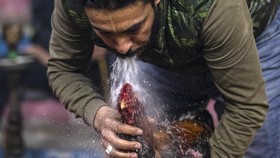 FOTO: Permainan Sabung Ayam Masih Diminati Warga Irak