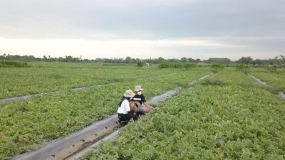 iPubers Jadi Kunci Akuntabilitas Distribusi Pupuk Subsidi