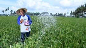 MAKMUR PKT Jadi Kunci Jaga Ketahanan Pangan Nasional