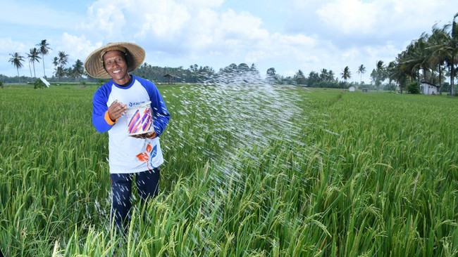 Sebagai produsen pupuk urea terbesar di Indonesia, PT Pupuk Kalimantan Timur (PKT) pun turut menjawab tantangan tersebut dengan menginisiasi program MAKMUR