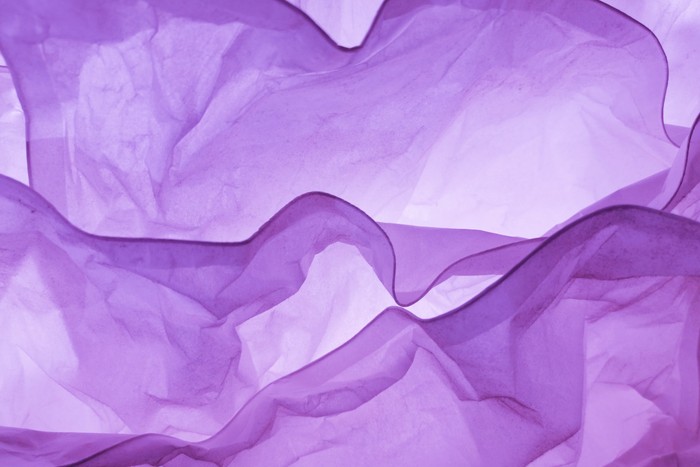 Ungu Sebagai Warna International Women’s Day/Foto: Unsplash.com/Daniele Levis Pelusi