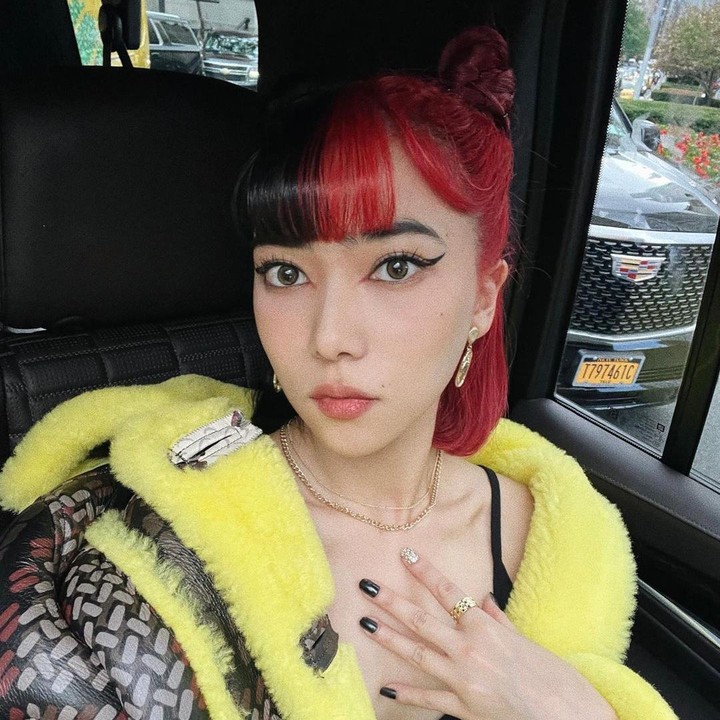 <p>Kedua ada musisi sekaligus aktris Isyana Sarasvati. Sejak beberapa waktu yang lalu, wanita kelahiran 29 tahun ini memiliki rambut dengan dua tone warna, hitam dan merah. (Foto: Instagram @isyanasarasvati)<br /><br /><br /></p>