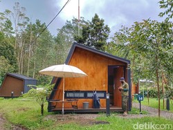 Selepas Mengabdi, Gaji KPPS Bisa Buat Staycation ke Sini!