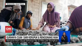 VIDEO: Cuan dari Keripik dan Kerupuk