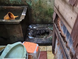 Kloset di Rumah Warga Jaktim Meledak Bersamaan Korban Nyalakan Kompor