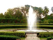 8 Rekomendasi Wisata Alam di Depok yang Hits, Taman hingga Danau