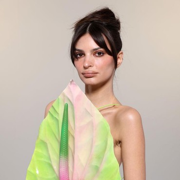 Emily Ratajkowski Penah 'Tolak' Harry Styles