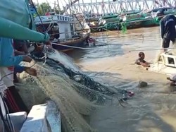 Arus Deras Sudetan Bengawan Solo Tenggelamkan-Rusak Perahu Nelayan Lamongan