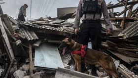 FOTO: Anjing Pelacak Cari Korban Kebakaran Depo Pertamina