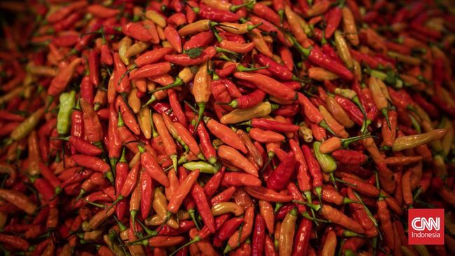 Tangan terasa panas setelah memotong cabai? Kenali penyebab, durasi, dan cara mencegah sensasi terbakar akibat capsaicin.