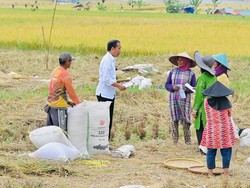 Jokowi Tiba-tiba Turun Mobil Temui Petani di Sawah, Ada Apa?