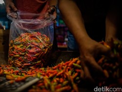 Harga Cabai Rawit Merah Meroket, Ternyata Ini Biang Keroknya
