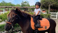 <p>Selain itu, Yaya juga gemar menunggangi kuda. Yaya terlihat gembira ketika menaiki kuda cokelat berukuran kecil. Yaya bahkan mengenakan atribut lengkap mulai dari sepatu hingga helm. (Foto: Instagram: @farahquinnofficial)</p>