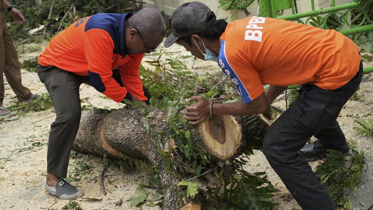 Pohon Tumbang Timpa Kabel Listrik Usai Hujan Deras Guyur Depok