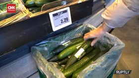 VIDEO: Fantastis, Harga 1 Buah Ketimun di Jerman Rp32 Ribu