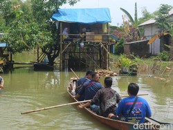 Nestapa Warga Pati Tinggal di Gubuk Atas Pohon gegara Seminggu Kebanjiran