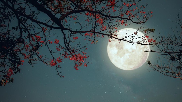 Ilustrasi bulan purnama