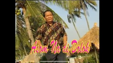 Lirik Lagu Batak Asom na di Dolok - Jhonny S. Manurung