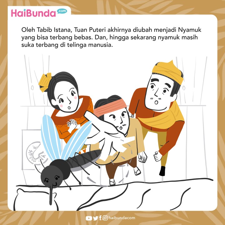 Asal usul nyamuk