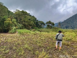 Buntut Rusaknya Ranca Upas, Lembang Haramkan Aktivitas Trail