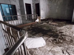 Melihat Kondisi Rumah Bu Mira yang Viral Karena Terbengkalai