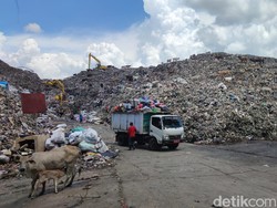 Beda Pendapat Walhi dan Pemkot Makassar Soal Efektivitas PSEL Tangani Sampah