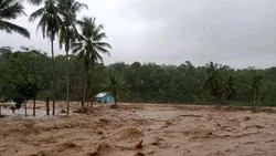 Ada BUMN, 4 Perusahaan Pemicu Banjir Sumatera ini Disegel