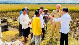 Jokowi dan Ganjar Becek-becekan Saat Bagikan Sertifikat Tanah Jateng