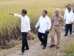 Cerita Jokowi di Kebumen soal Pupuk Langka: Tempat Bahannya Baru Perang