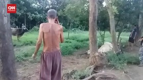 VIDEO: Warga Geger Saat 2 Sapi Mati Disambar Petir
