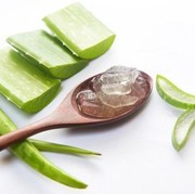 4 Rekomendasi Skincare Aloe Vera Terbaik