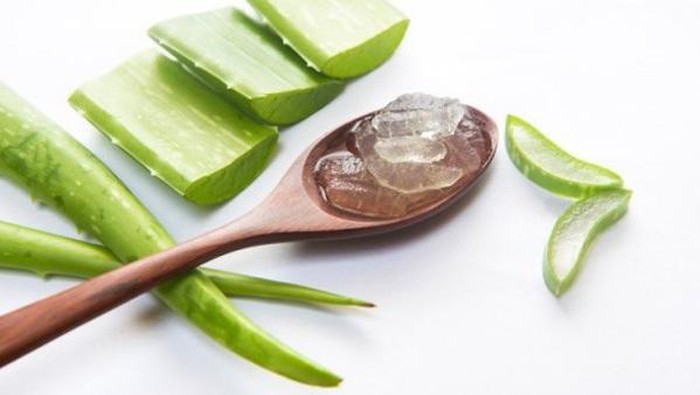 4 Rekomendasi Skincare Aloe Vera Terbaik 4 Rekomendasi Skincare Aloe Vera Terbaik