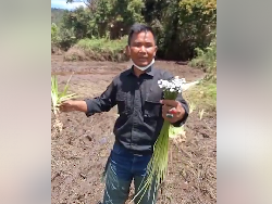 Kata Ahli Taksonomi Unpad soal Bunga Rawa Langka di Ranca Upas