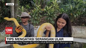 VIDEO: Tips Mengatasi Serangan Ular