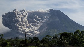 Gunung Merapi Luncurkan Awan Panas, Tinggi Kolom 500 Meter
