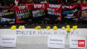 FOTO: Jerit Peternak Unggas Didera Rugi Menahun