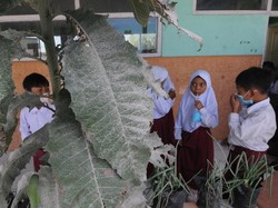 Erupsi Anak Krakatau, Siswa di Lampung Belajar Daring Selama 2 Hari