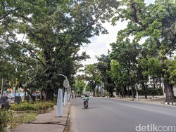 Kata Bobby Soal Proyek Lampu Jalan yang Dikritik Hasyim: Ada Masalah