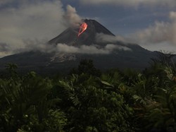 Merapi Muntahkan 60 Kali Awan Panas Selama 3 Hari