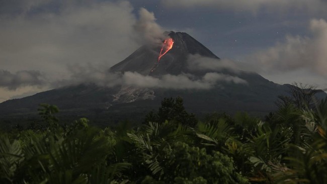 Gunung Merapi dilaporkan erupsi mengeluarkan awan panas guguran sebanyak tujuh kali pada Senin (4/3) sore.