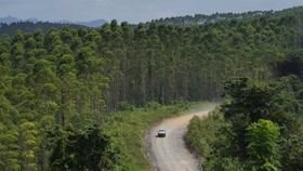 Warga Kawasan IKN Ditemukan Linglung Usai Tersesat 9 Hari di Hutan