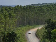 Warga Kawasan IKN Ditemukan Linglung Usai Tersesat 9 Hari di Hutan