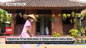 VIDEO: Pendapatan Petani Berkurang di Tengah Naiknya Harga Beras