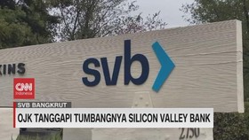VIDEO: OJK Tanggapi Tumbangnya Silicon Valley Bank