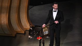 img-title Martin McDonagh Beber Soal Keledai di Oscar: Itu Bukan Jenny