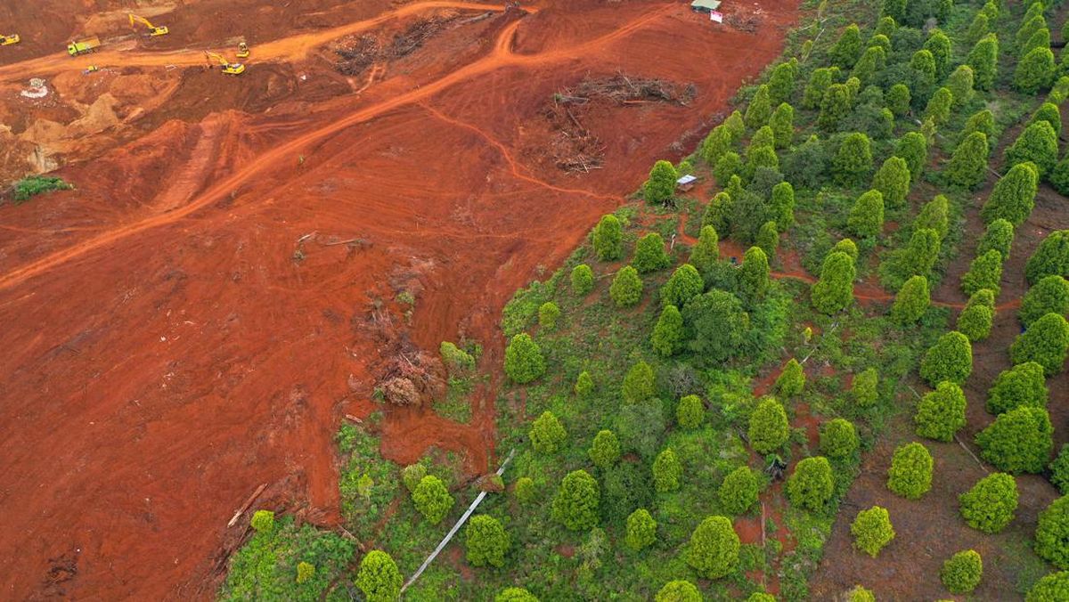 Kemenhut Cabut Izin Tambang di Kawasan Hutan Pulau Wawonii