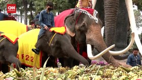 VIDEO: Pesta Buah Dan Sayur Rayakan Hari Gajah Nasional Di Thailand