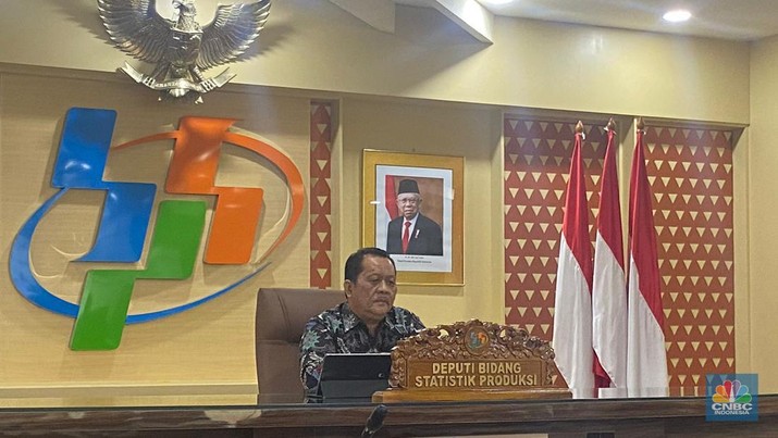 Deputi Bidang Statistik Produksi BPS M. Habibullah dalam Badan Pusat Statistik (BPS) akan mengumumkan Perkembangan Ekspor dan Impor Indonesia Februari 2023. (CNBC Indonesia/Anisa Sopiah)